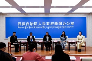 西藏举行高校毕业生就业及民营企业相关优惠政策受益人媒体见面会