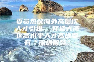 委员热议海外高层次人才引进  打造大湾区高水平人才高地要有“深圳智慧”