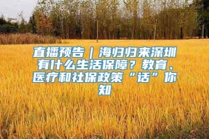 直播预告｜海归归来深圳有什么生活保障？教育、医疗和社保政策“话”你知