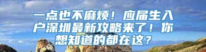 一点也不麻烦！应届生入户深圳最新攻略来了！你想知道的都在这？