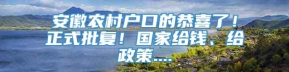 安徽农村户口的恭喜了！正式批复！国家给钱、给政策....