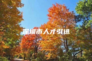 深圳市人才引进