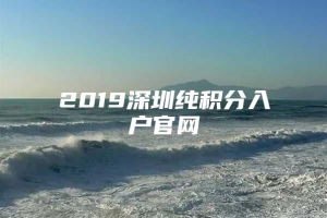 2019深圳纯积分入户官网