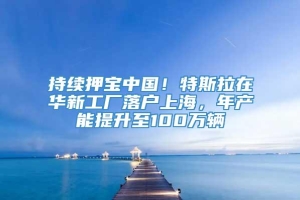 持续押宝中国！特斯拉在华新工厂落户上海，年产能提升至100万辆