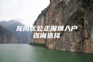 龙岗区公正深圳入户咨询选择