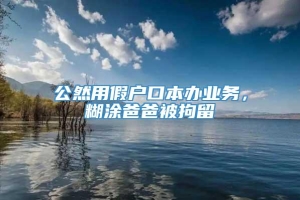 公然用假户口本办业务，糊涂爸爸被拘留