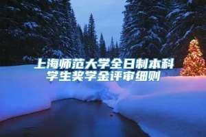 上海师范大学全日制本科学生奖学金评审细则