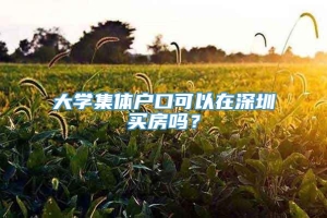 大学集体户口可以在深圳买房吗？