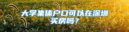 大学集体户口可以在深圳买房吗？