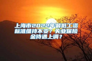 上海市2022年最低工资标准维持不变？失业保险金待遇上调？