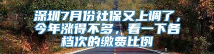 深圳7月份社保又上调了，今年涨得不多，看一下各档次的缴费比例