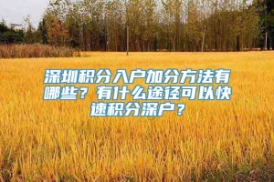 深圳积分入户加分方法有哪些？有什么途径可以快速积分深户？