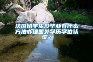 法国留学生没毕业有什么方法办理国外学历学位认证？