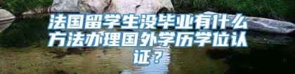 法国留学生没毕业有什么方法办理国外学历学位认证？