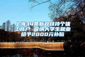 上海34条新政扶持个体工商户 吸纳大学生就业给予2000元补贴