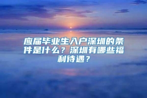 应届毕业生入户深圳的条件是什么？深圳有哪些福利待遇？