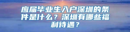 应届毕业生入户深圳的条件是什么？深圳有哪些福利待遇？