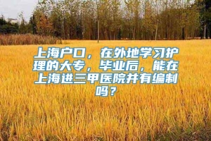 上海户口，在外地学习护理的大专，毕业后，能在上海进三甲医院并有编制吗？