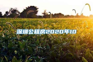 深圳公租房2020年10