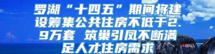 罗湖“十四五”期间将建设筹集公共住房不低于2.9万套 筑巢引凤不断满足人才住房需求