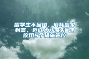 留学生不回国，消耗国家财富，造成人才流失 建议用5个措施管控