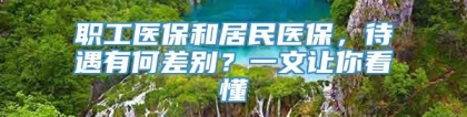 职工医保和居民医保，待遇有何差别？一文让你看懂