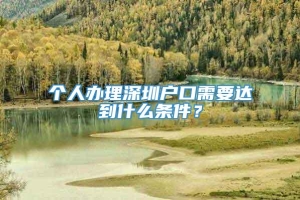 个人办理深圳户口需要达到什么条件？