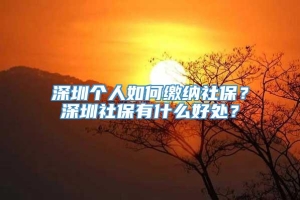 深圳个人如何缴纳社保？深圳社保有什么好处？