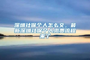 深圳社保个人怎么交，最新深圳社保个人缴费流程来了