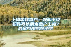 上海职称落户：哪些中级职称可以用来落户上海？最全可用职称清单