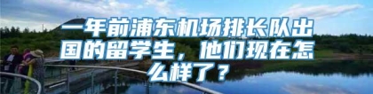 一年前浦东机场排长队出国的留学生，他们现在怎么样了？