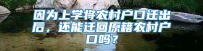 因为上学将农村户口迁出后，还能迁回原籍农村户口吗？