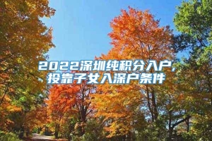 2022深圳纯积分入户,投靠子女入深户条件