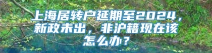 上海居转户延期至2024，新政未出，非沪籍现在该怎么办？