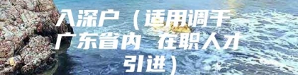 入深户（适用调干 广东省内 在职人才引进）