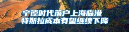 宁德时代落户上海临港 特斯拉成本有望继续下降