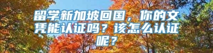 留学新加坡回国，你的文凭能认证吗？该怎么认证呢？