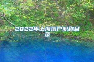 2022年上海落户职称目录