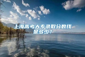 上海高考大专录取分数线是多少？