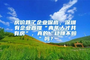 房价跌了企业保底，深圳有企业首推“青年人才共有房”，真的“稳赚不赔”吗？