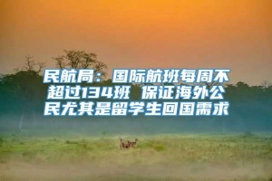 民航局：国际航班每周不超过134班 保证海外公民尤其是留学生回国需求