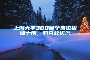 上海大学300多个岗位招博士后，即日起报名