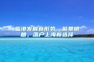 临港发展新形势，前景明朗，落户上海新选择