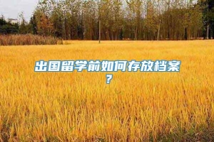 出国留学前如何存放档案？