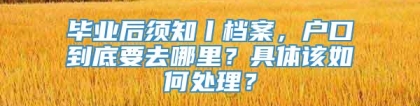 毕业后须知丨档案，户口到底要去哪里？具体该如何处理？