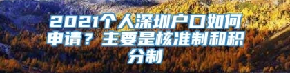 2021个人深圳户口如何申请？主要是核准制和积分制