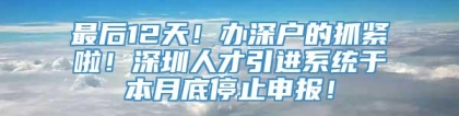 最后12天！办深户的抓紧啦！深圳人才引进系统于本月底停止申报！