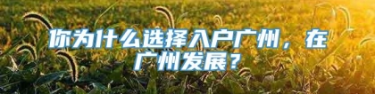 你为什么选择入户广州，在广州发展？