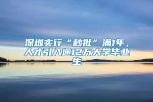 深圳实行“秒批”满1年，人才引入逾12万大学毕业生