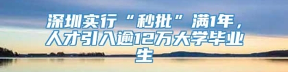 深圳实行“秒批”满1年，人才引入逾12万大学毕业生